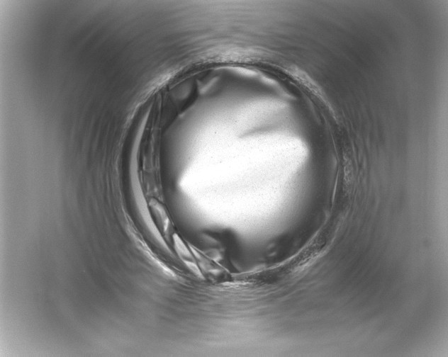 X0000066020581200603171534