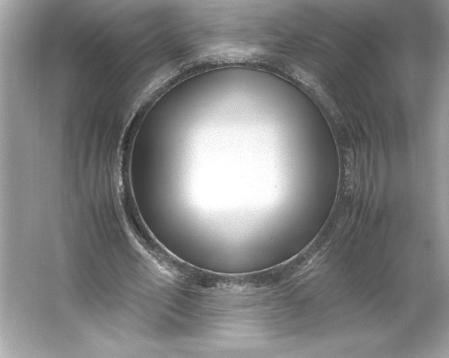 X0000066020582200603171534