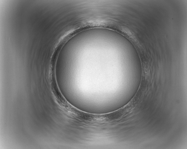 X0000066020583200603171534