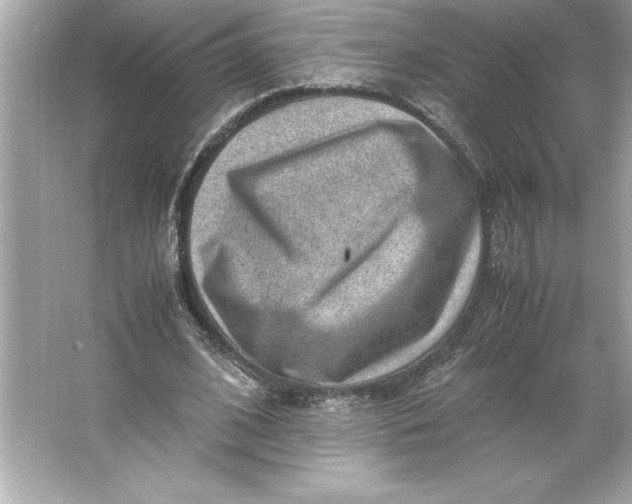 X0000066020584200603171534