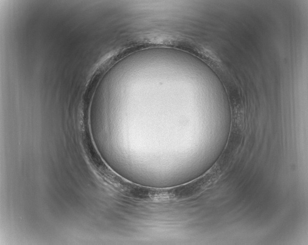 X0000066020587200603171534