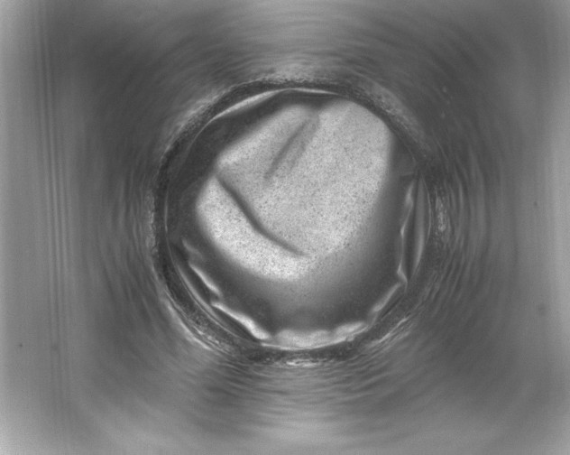 X0000066020588200603171534