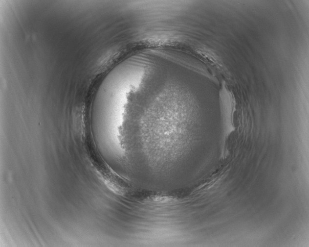 X0000066020590200603171534