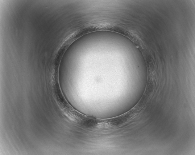 X0000066020591200603171534