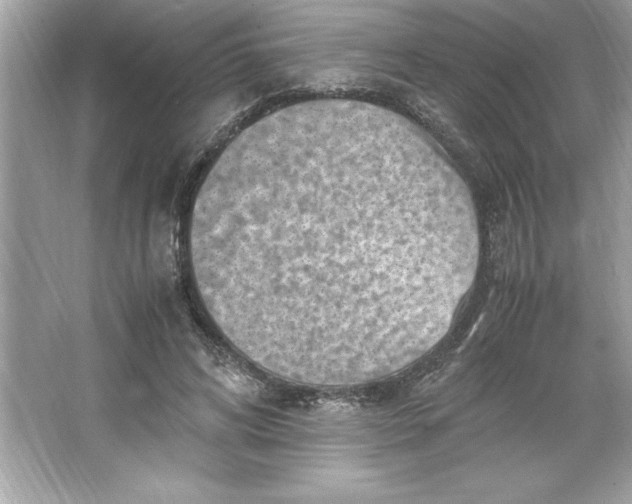 X0000066020592200603171534