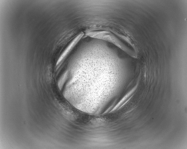 X0000066020594200603171534