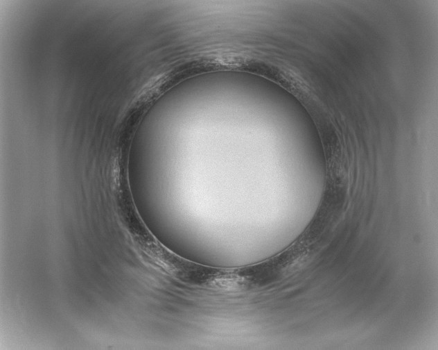 X0000066020595200603171534