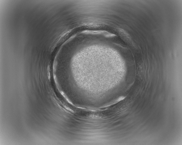 X0000066020596200603171534