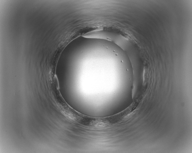 X0000066020597200603171534