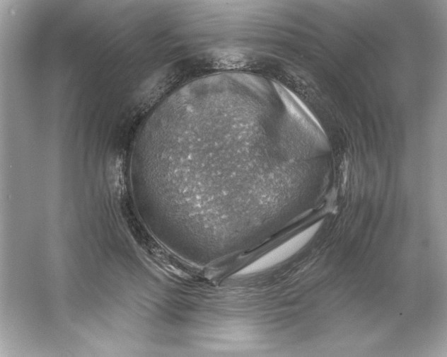 X0000066020598200603171534