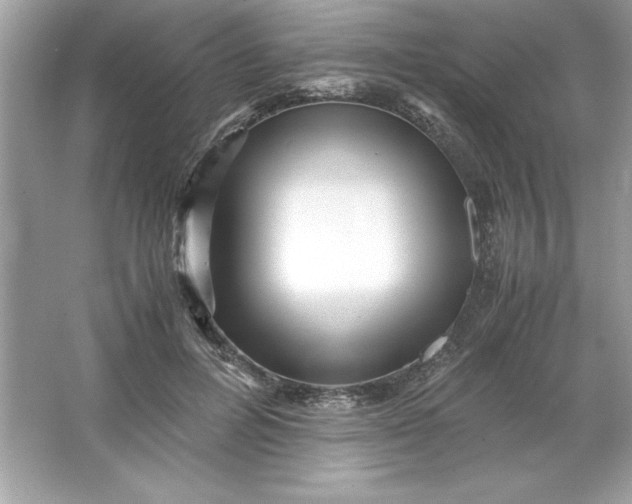 X0000066020600200603171534