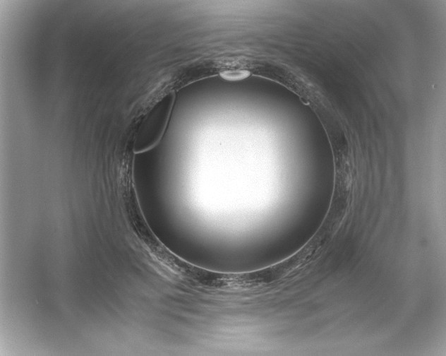 X0000066020601200603171534