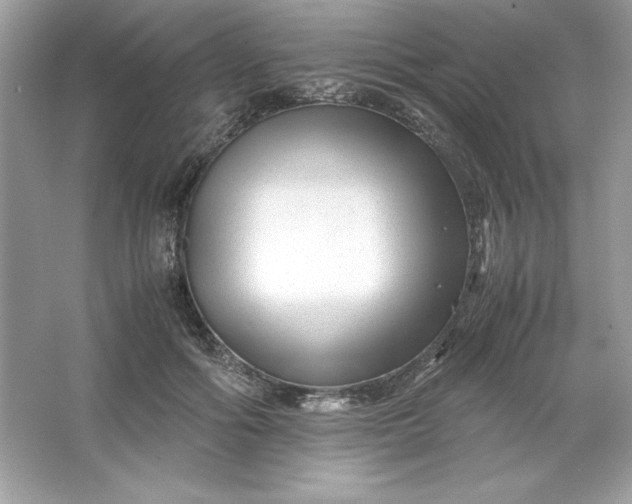 X0000066020602200603171534