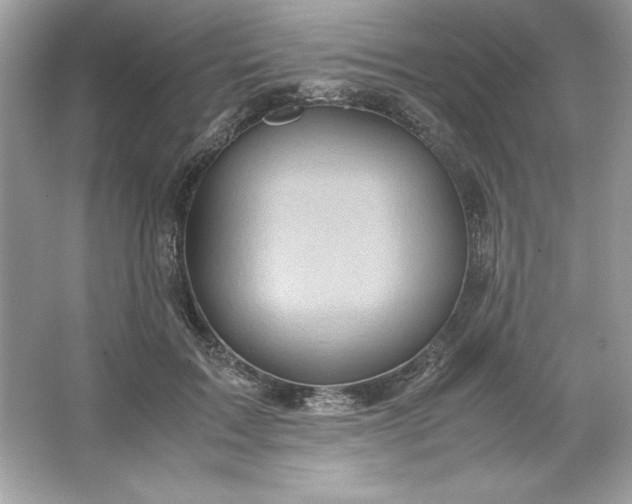 X0000066020603200603171534