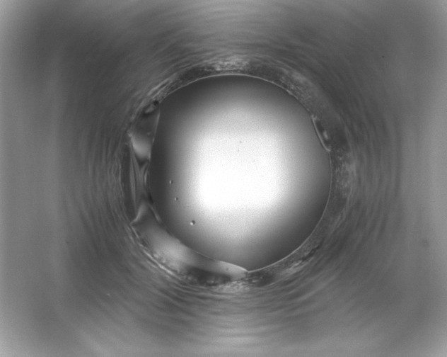 X0000066020604200603171534