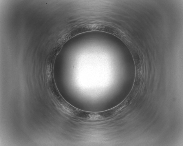 X0000066020605200603171534