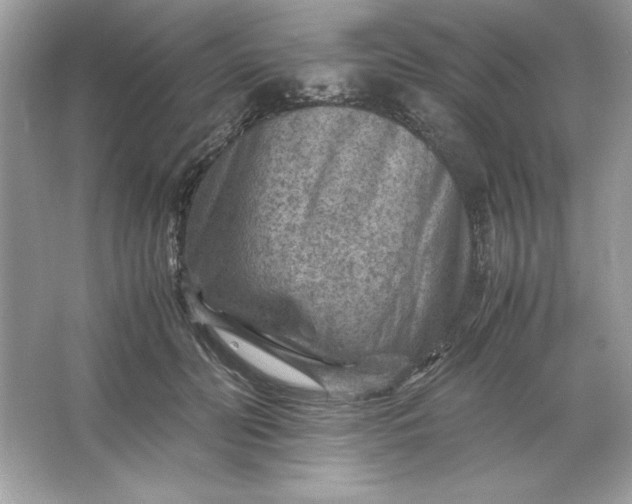 X0000066020606200603171534