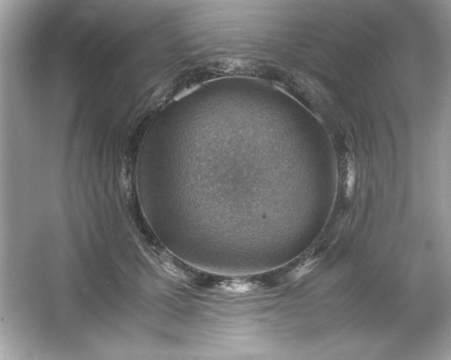 X0000066020607200603171534