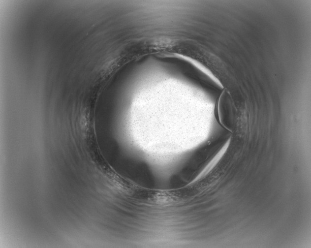 X0000066020608200603171533