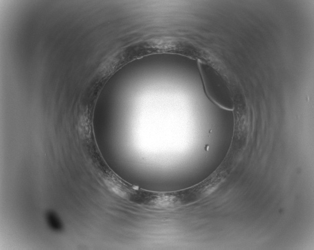 X0000066020609200603171533