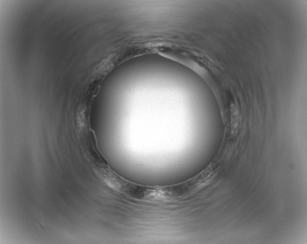 X0000066020611200603171533