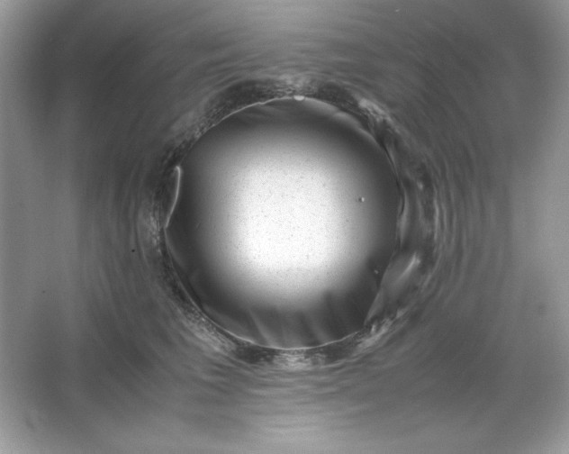 X0000066020613200603171533