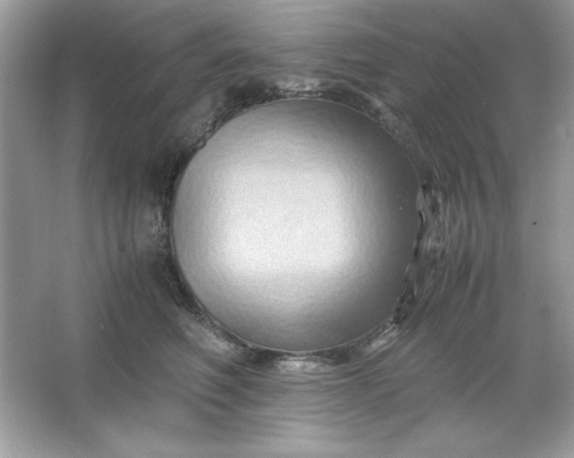 X0000066020614200603171533