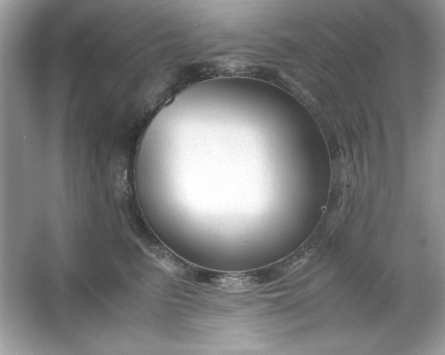 X0000066020615200603171533