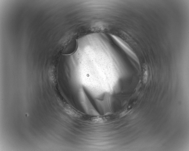 X0000066020616200603171533