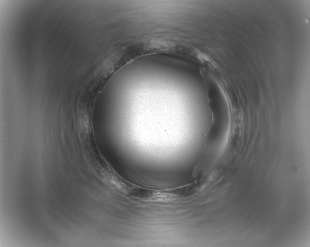 X0000066020617200603171533