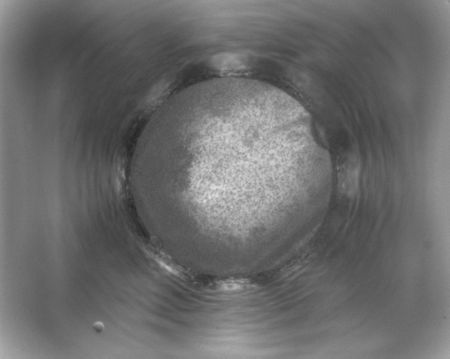 X0000066020618200603171533