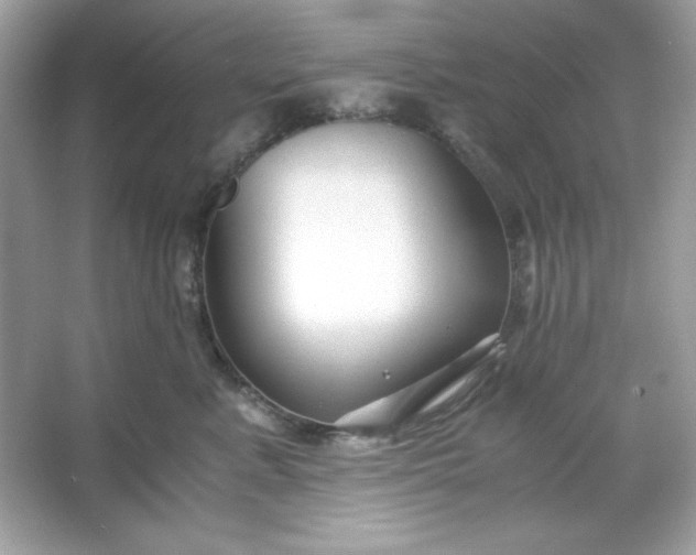 X0000066020619200603171533