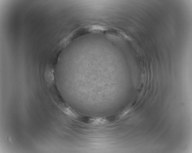 X0000066020621200603171533