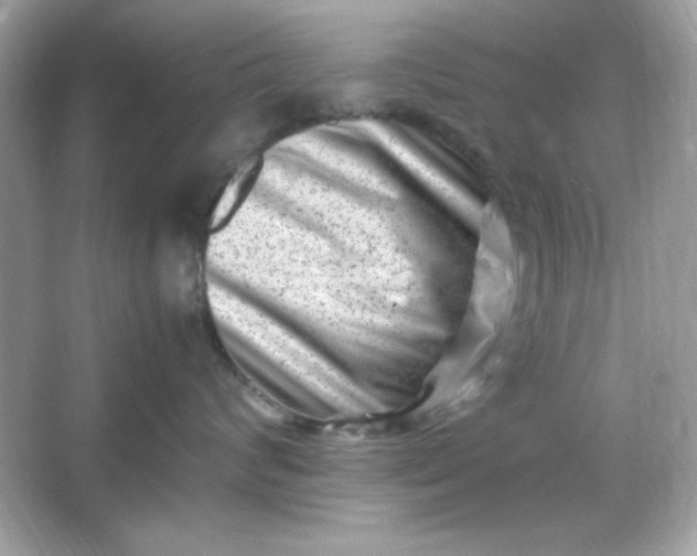 X0000066020624200603171533