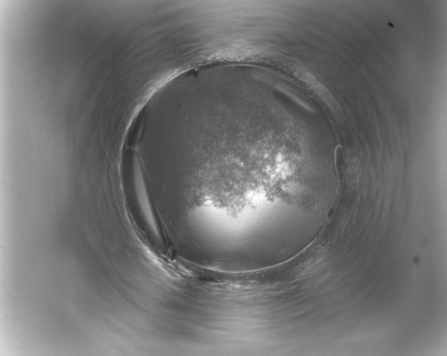 X0000066020626200603171532