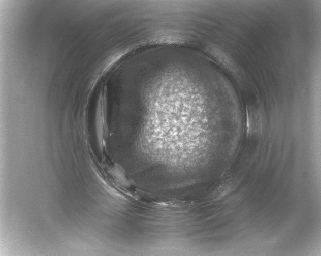 X0000066020627200603171532