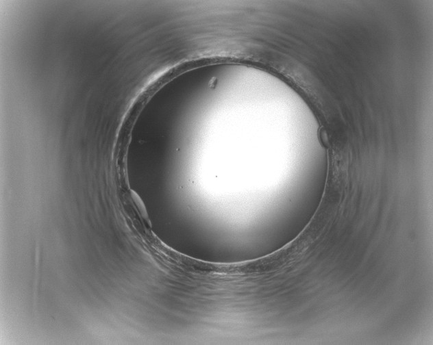 X0000066020628200603171532