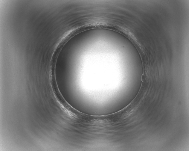 X0000066020629200603171532