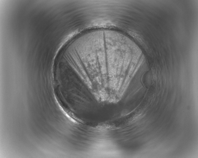 X0000066020630200603171532