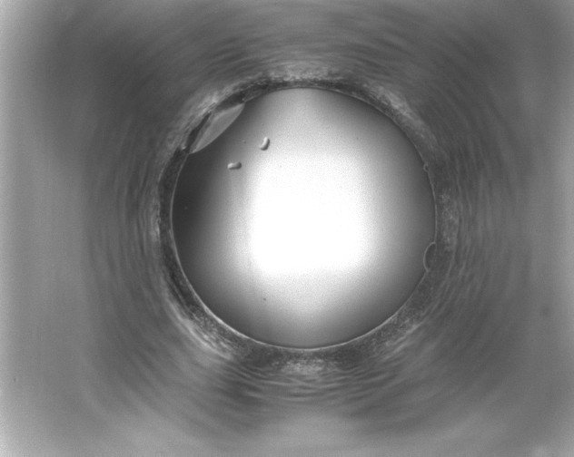 X0000066020631200603171533