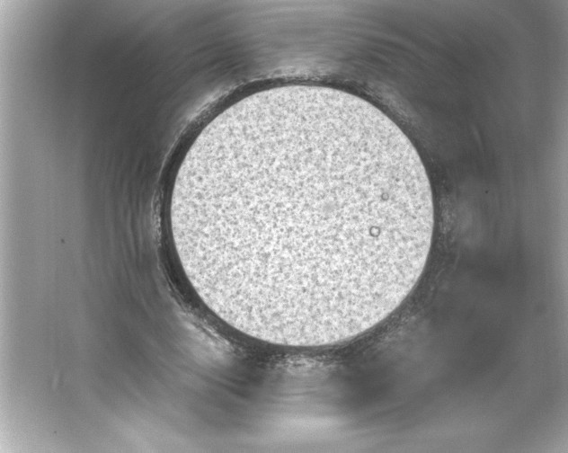 X0000066020632200603171533