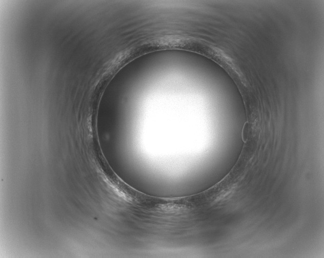 X0000066020633200603171533