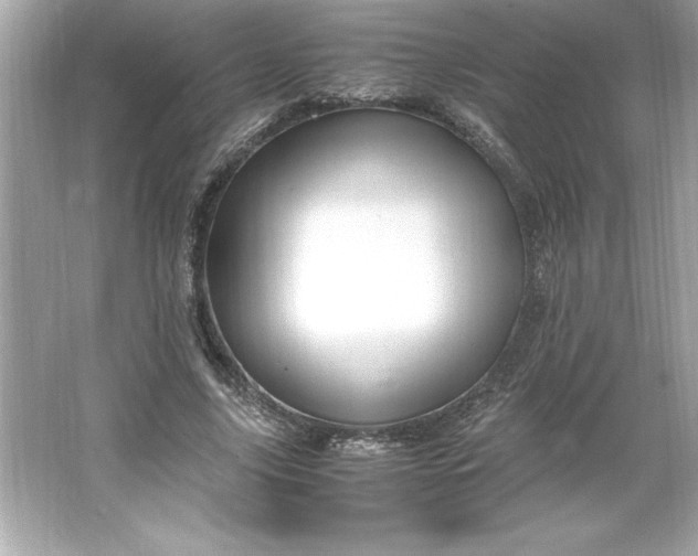 X0000066020635200603171533