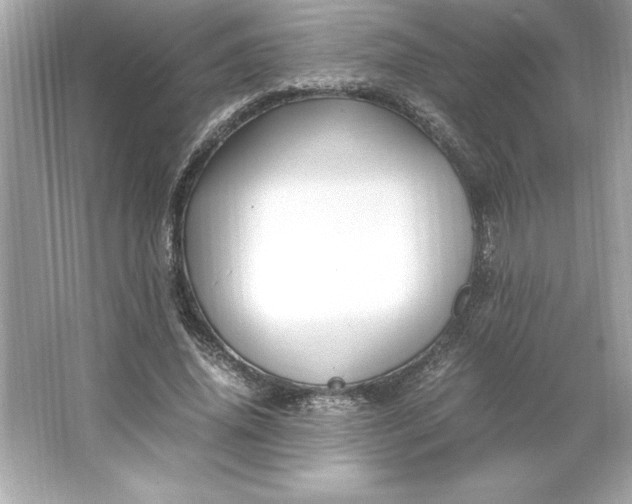 X0000066020636200603171533