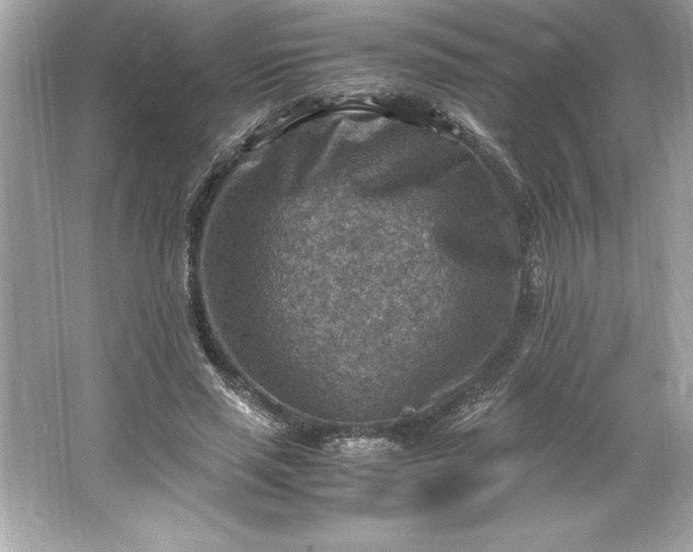 X0000066020637200603171533