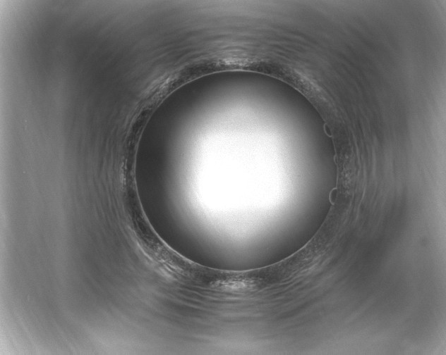 X0000066020639200603171533