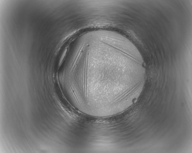 X0000066020640200603171533