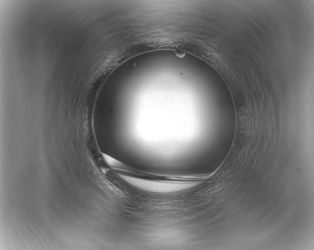 X0000066020642200603171533