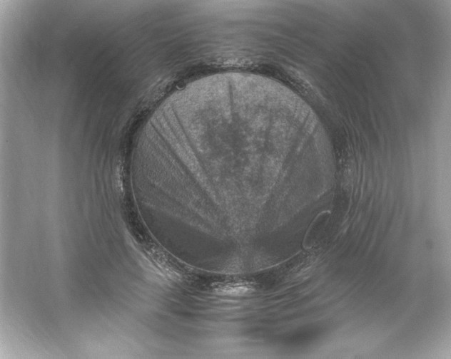 X0000066020643200603171533