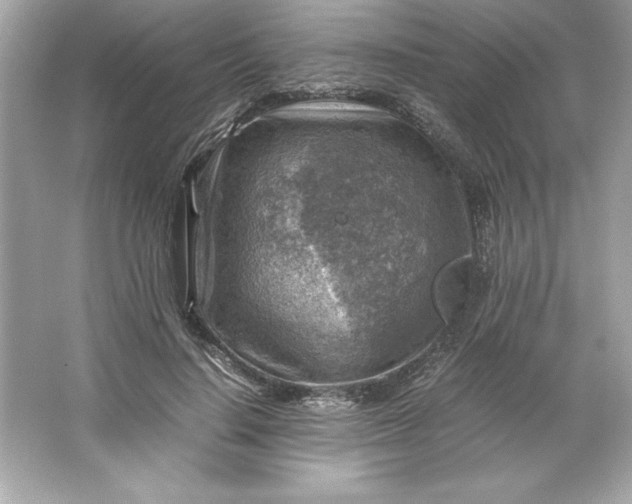 X0000066020644200603171533